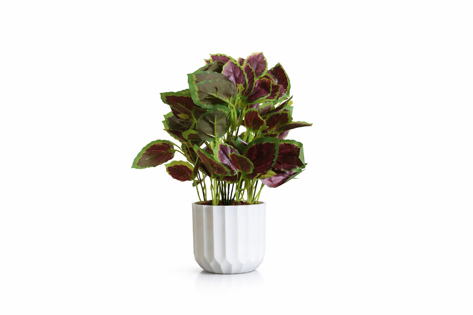 Artificial Coleus Plant with White Pot